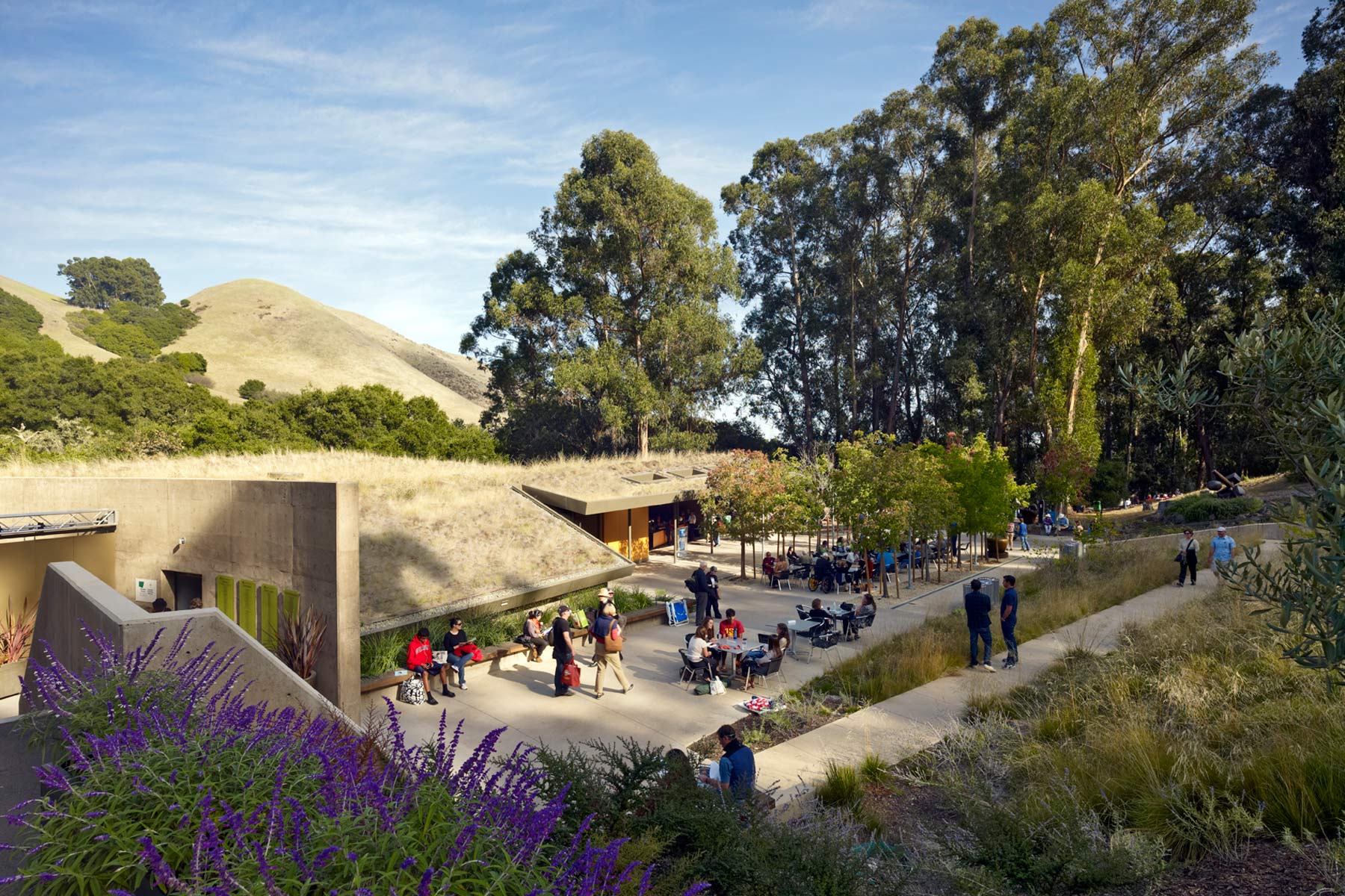 The Sharon Simpson Center at the California Shakespeare Theater, located in the San Francisco Bay Area, encourages environmental stewardship and sustainable goals by utilizing a living roof and being integrated into the natural landscape of the site.