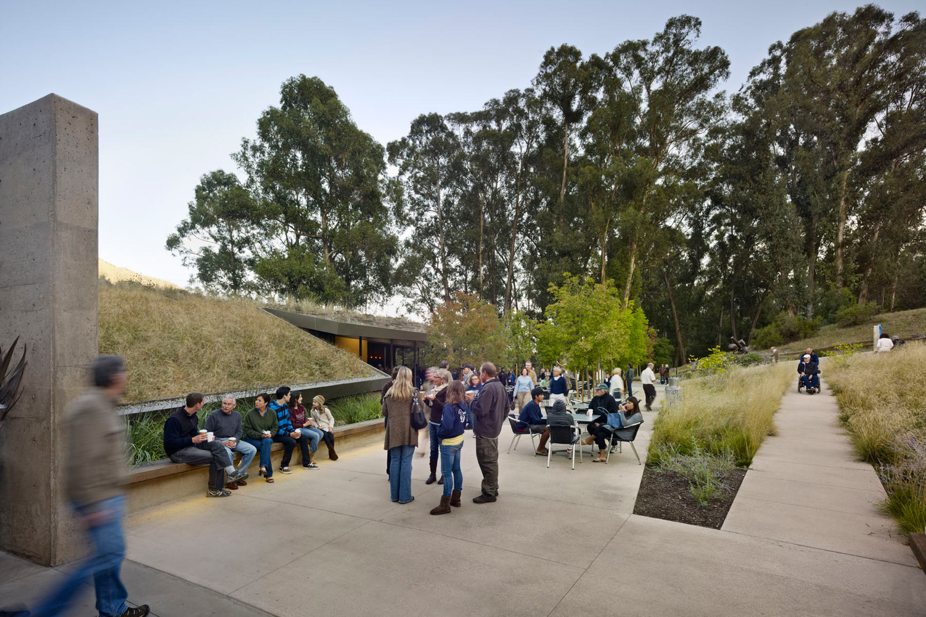 The Sharon Simpson Center at the California Shakespeare Theater, located in the San Francisco Bay Area, encourages environmental stewardship and sustainable goals by utilizing a living roof and being integrated into the natural landscape of the site.