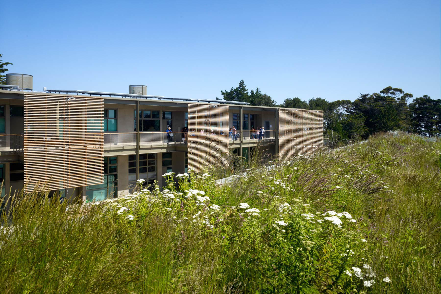 The Nueva Hillside Learning Complex is an innovative educational environment in the San Francisco Bay Area that is a sustainable model for 21st century students- the campus is certified LEED Gold and promotes environment stewardship and a passion for lifelong learning.